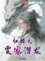 红楼之贾家老大重生逆袭无防盗