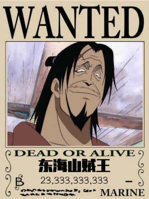 我东海山贼王