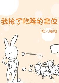 我是雍正电视剧