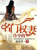 权门冷少蜜宠枭妻