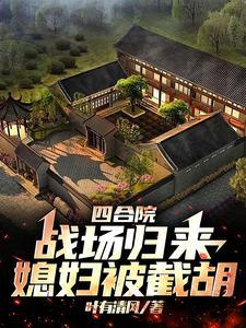 四合院厂霸