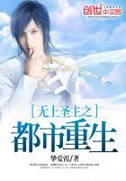 主角是无上圣地帝子