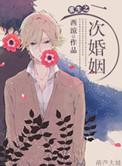 二次婚姻 全文