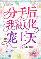 分手后我怀了大佬的崽兔拾柒
