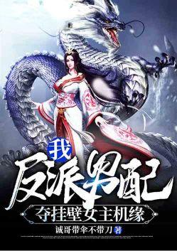 我反派男配夺挂壁女主机缘