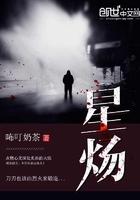 星炀的已出版的