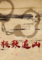 极致追凶