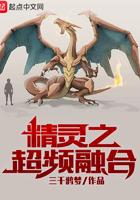精灵之超频融合